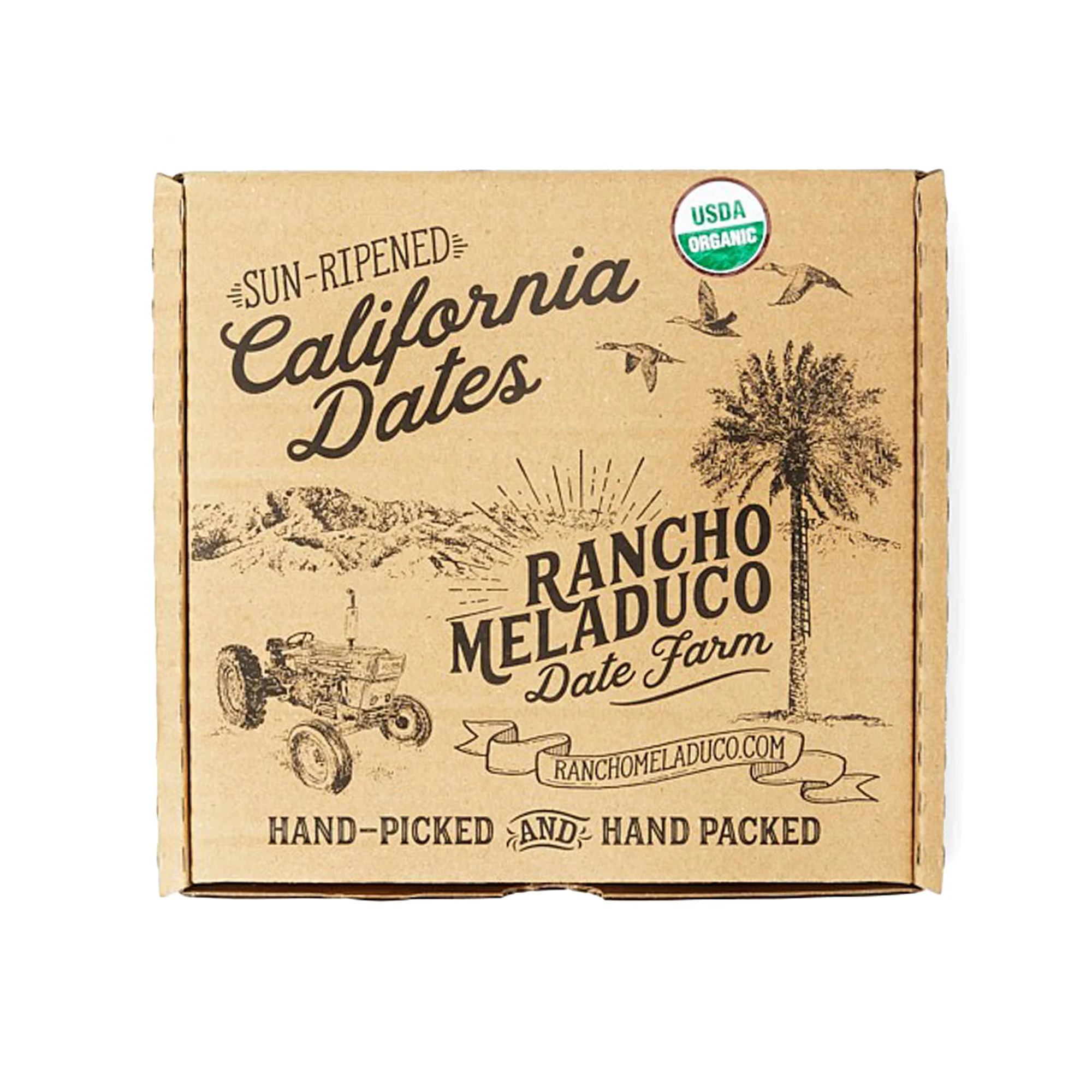 Organic Prime Medjool Dates - Image 5