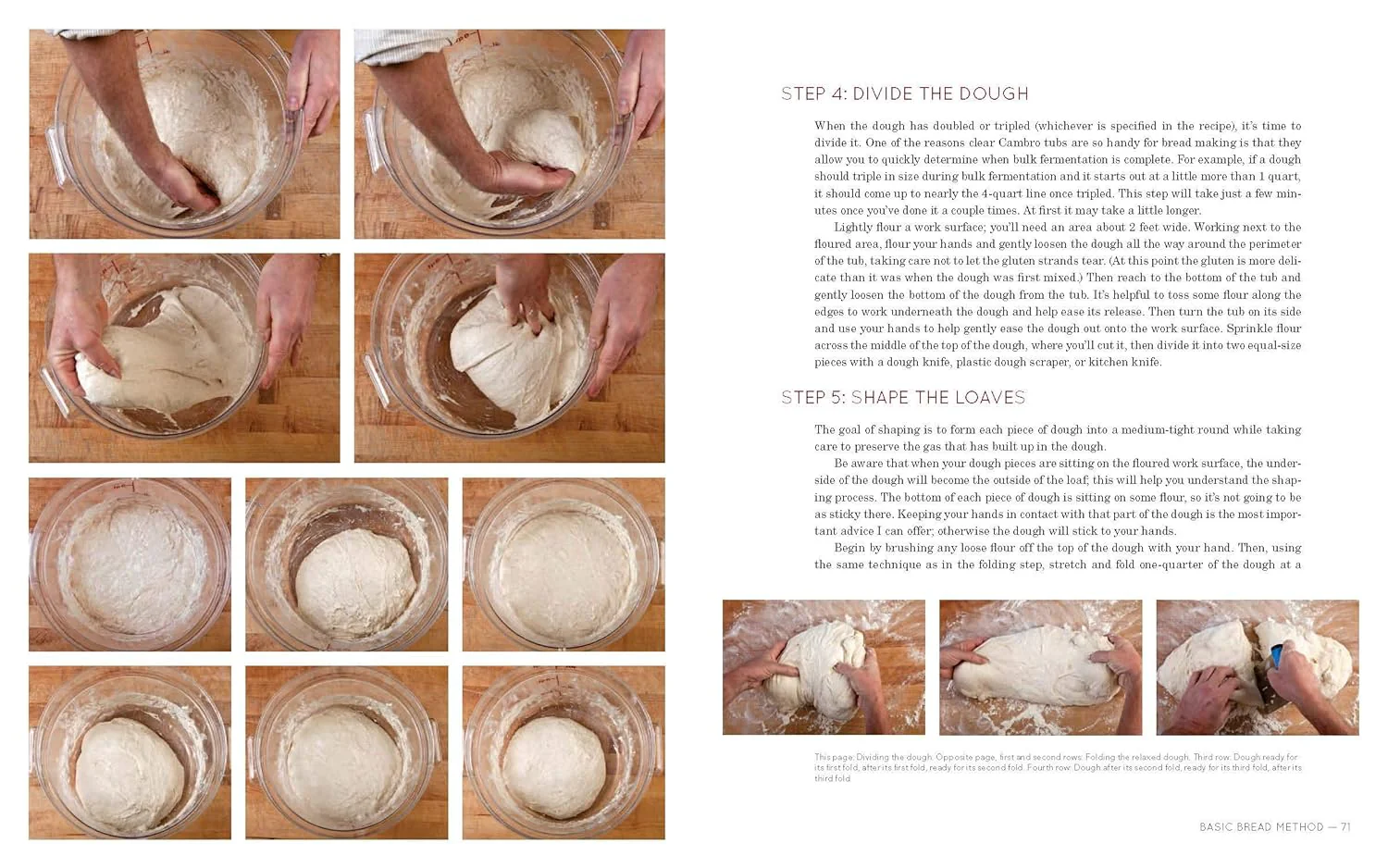 Flour Water Salt Yeast: The Fundamentals of Artisan Bread and Pizza - Image 3