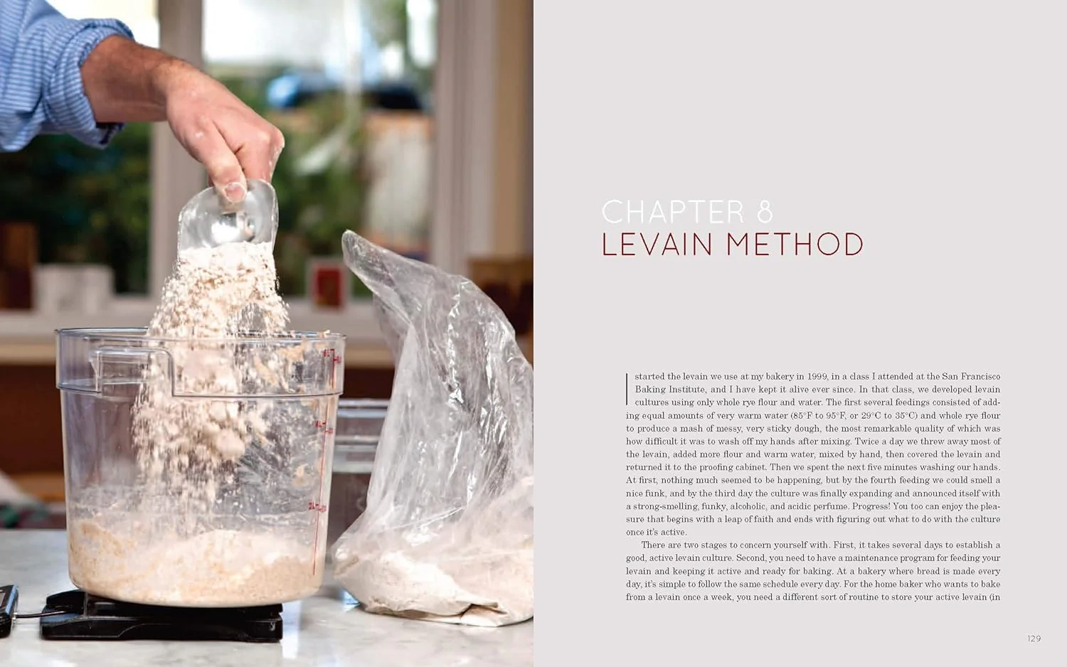 Flour Water Salt Yeast: The Fundamentals of Artisan Bread and Pizza - Image 5