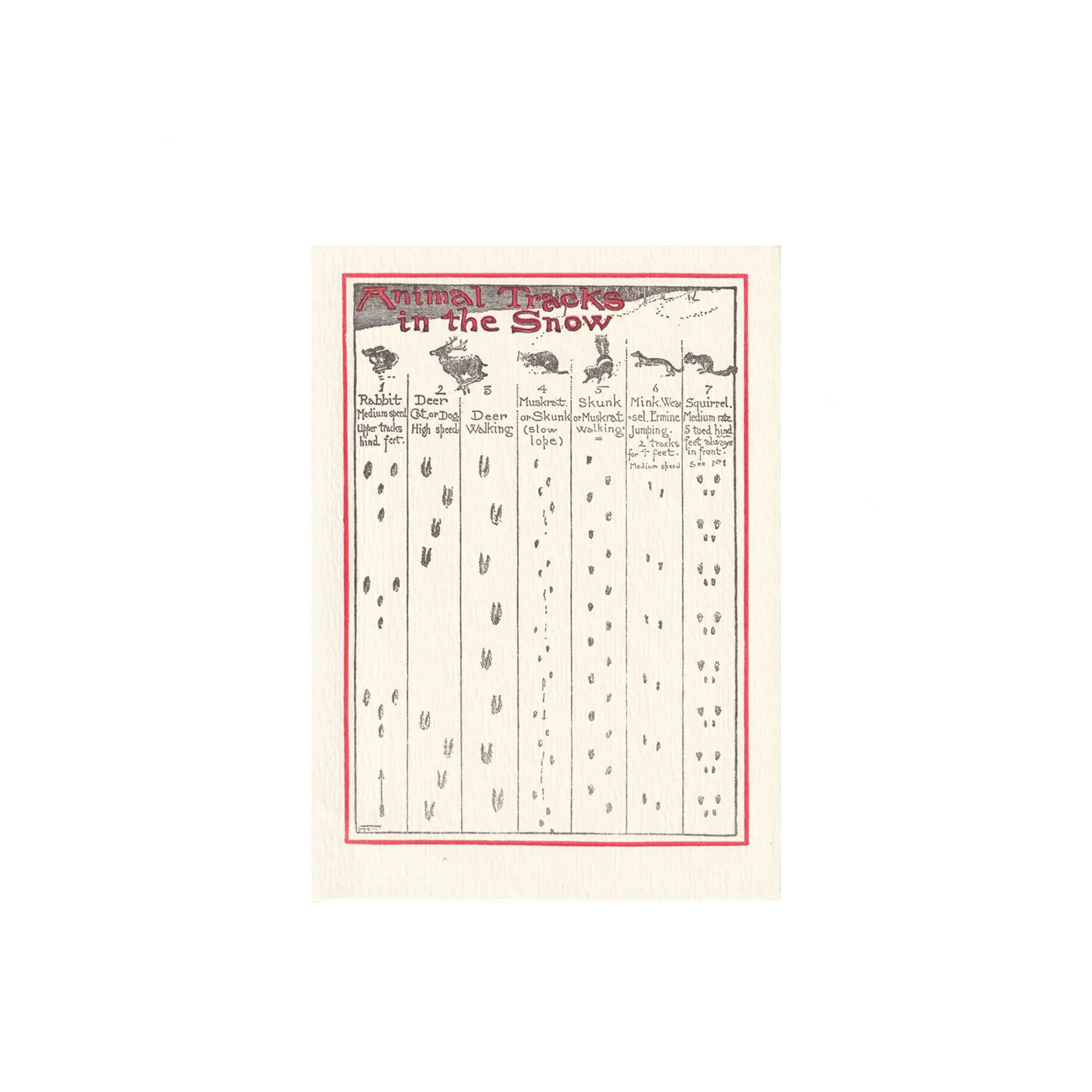 Greeting Cards - Image 8