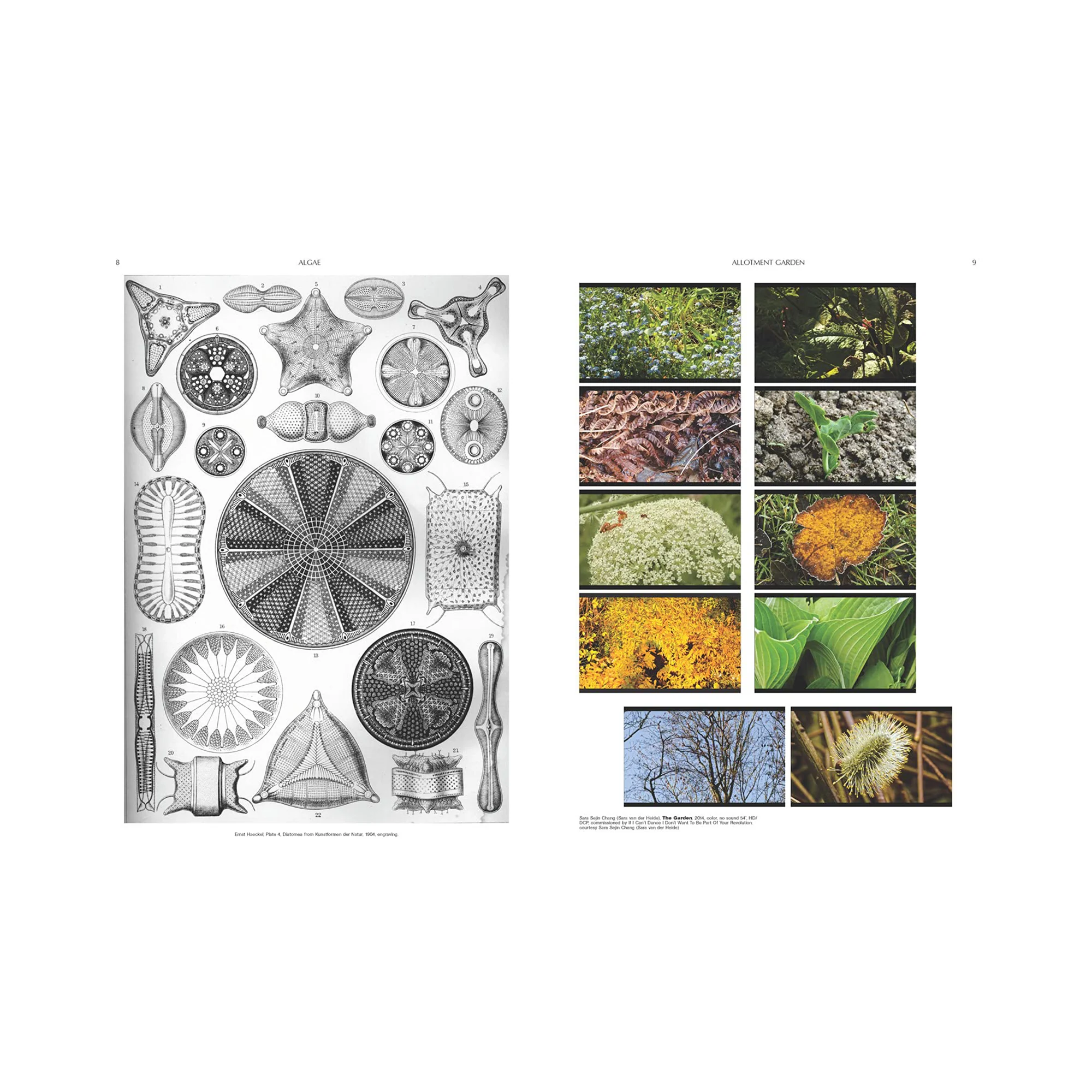 On the Necessity of Gardening: An ABC of Art, Botany and Cultivation - Image 3