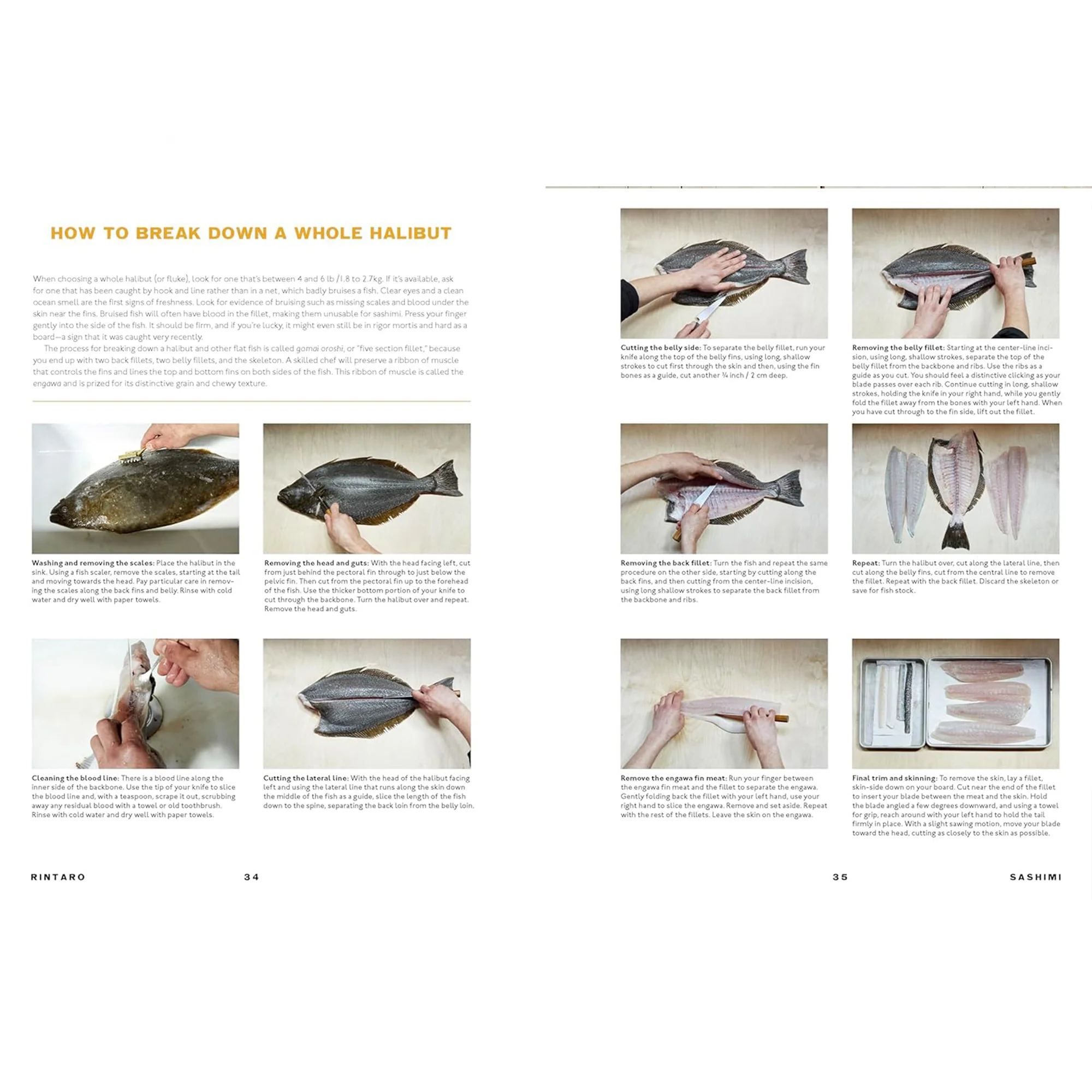 Rintaro - Image 5
