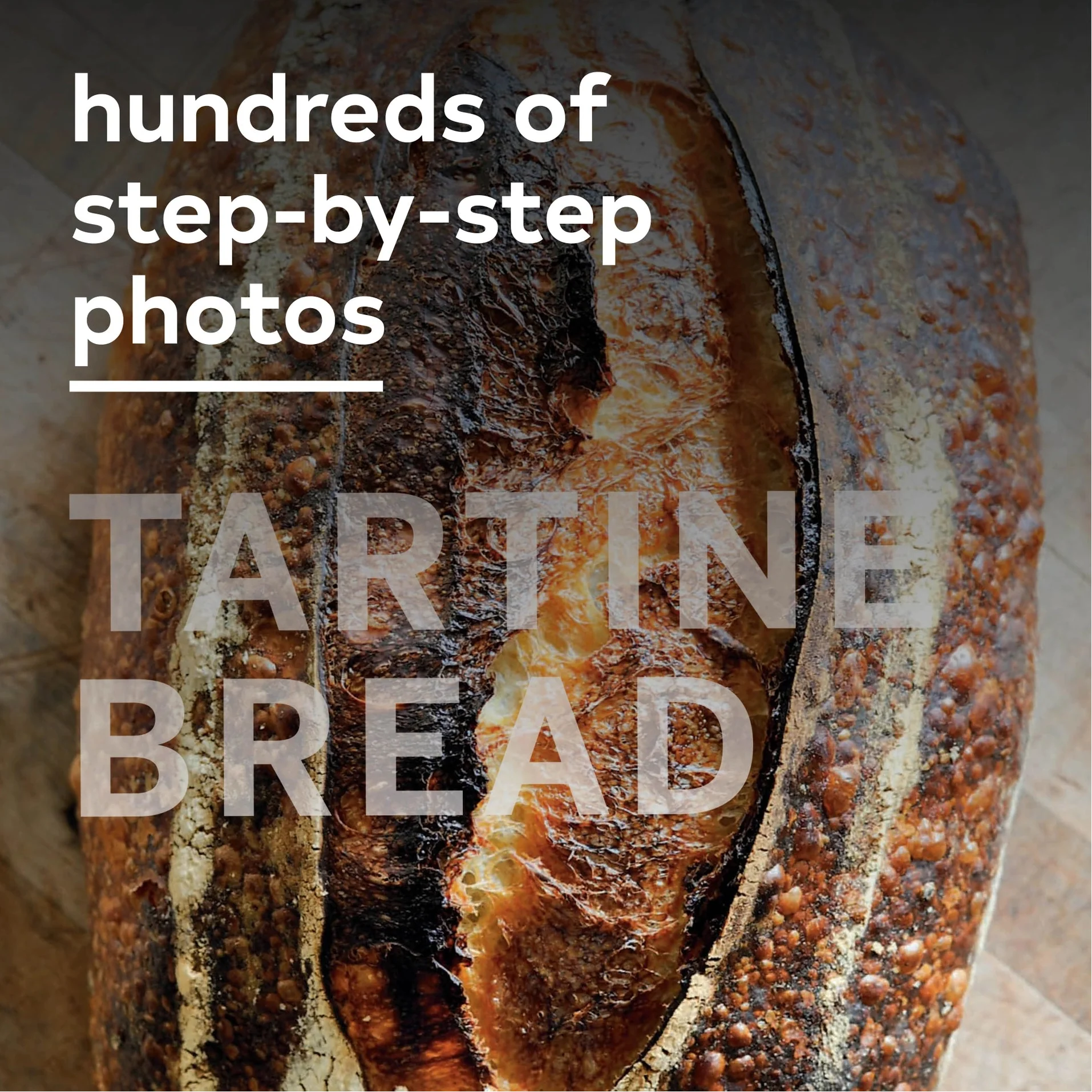 Tartine Bread - Image 3