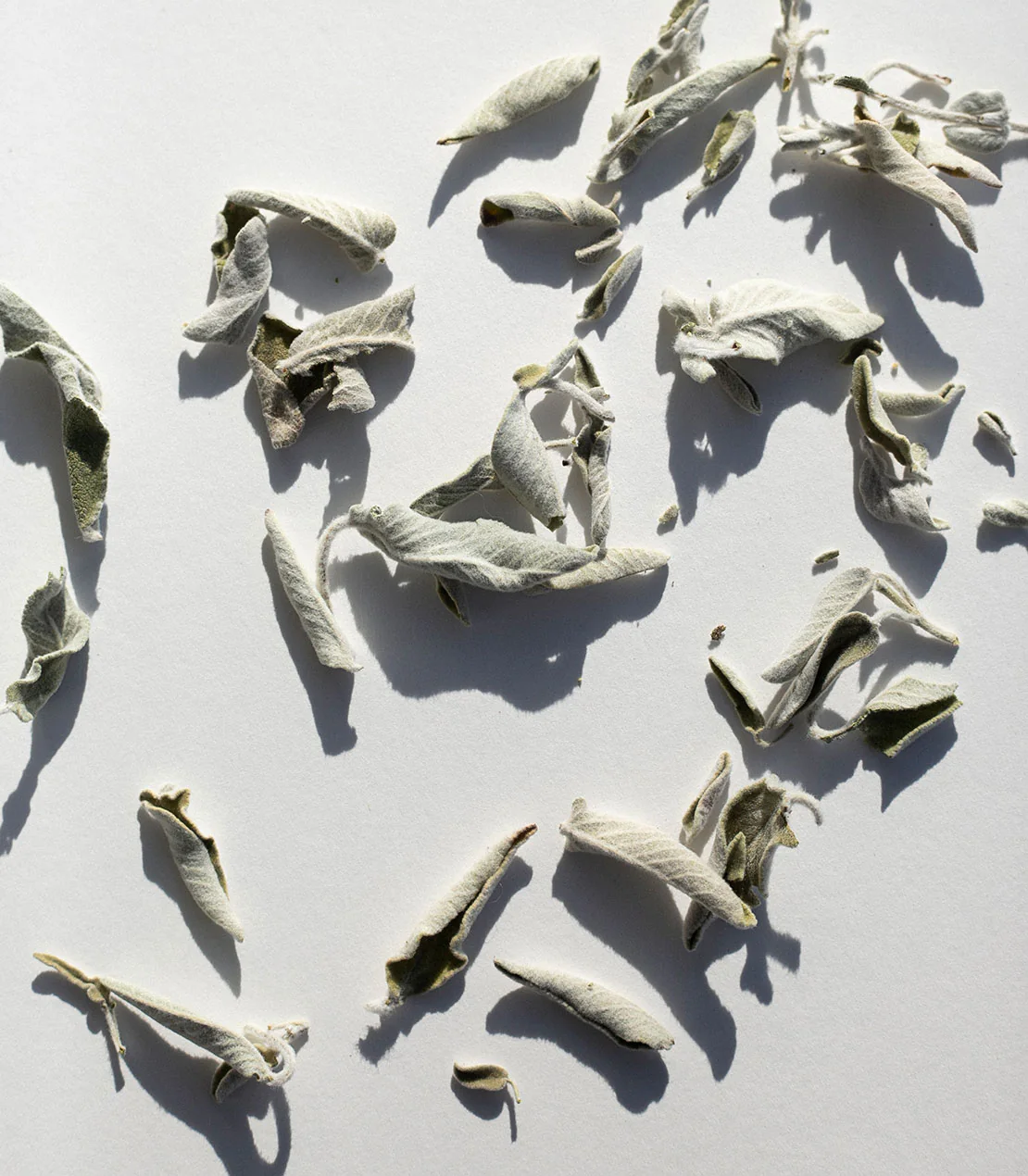Unique Greek Sage, 14 g. - Image 3